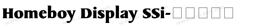 Homeboy Display SSi字体转换
